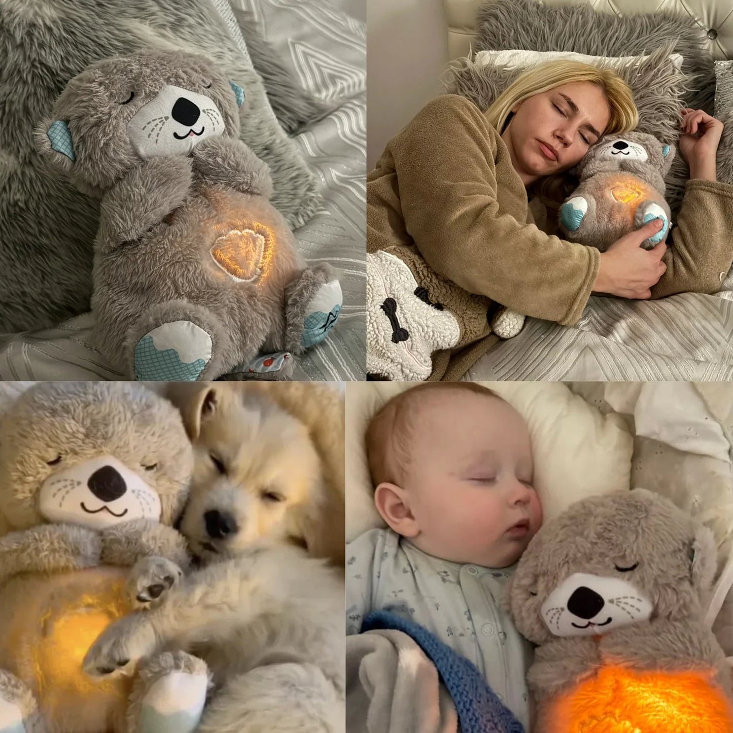 🔥Anxiety relief otter