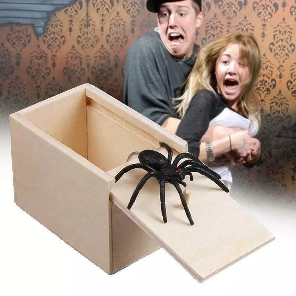 🎁Super Funny Crazy Prank Gift Spider Box
