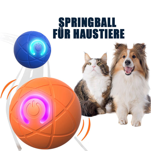 🐱 & Hunde 🐶✨2026 Neuerscheinung – 50 % Rabatt – Springball für Katzen