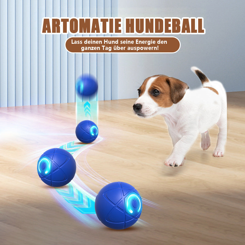 🐱 & Hunde 🐶✨2026 Neuerscheinung – 50 % Rabatt – Springball für Katzen