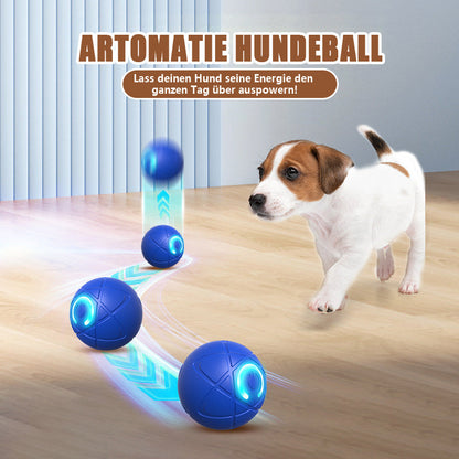 🐱 & Hunde 🐶✨2026 Neuerscheinung – 50 % Rabatt – Springball für Katzen
