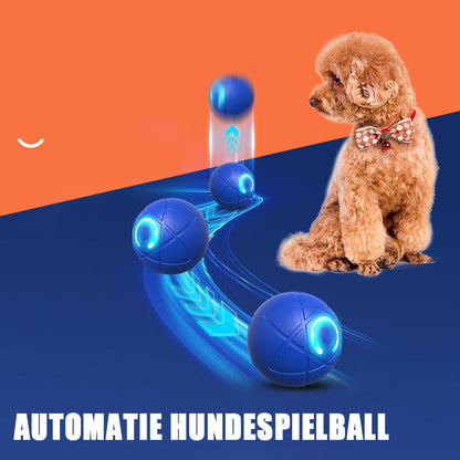 🐱 & Hunde 🐶✨2026 Neuerscheinung – 50 % Rabatt – Springball für Katzen
