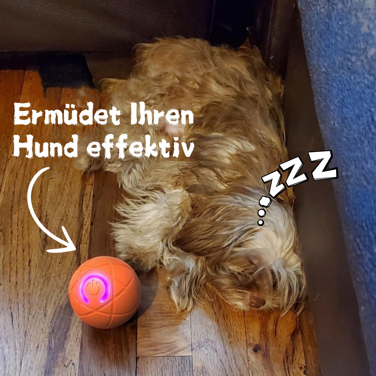 🐱 & Hunde 🐶✨2026 Neuerscheinung – 50 % Rabatt – Springball für Katzen