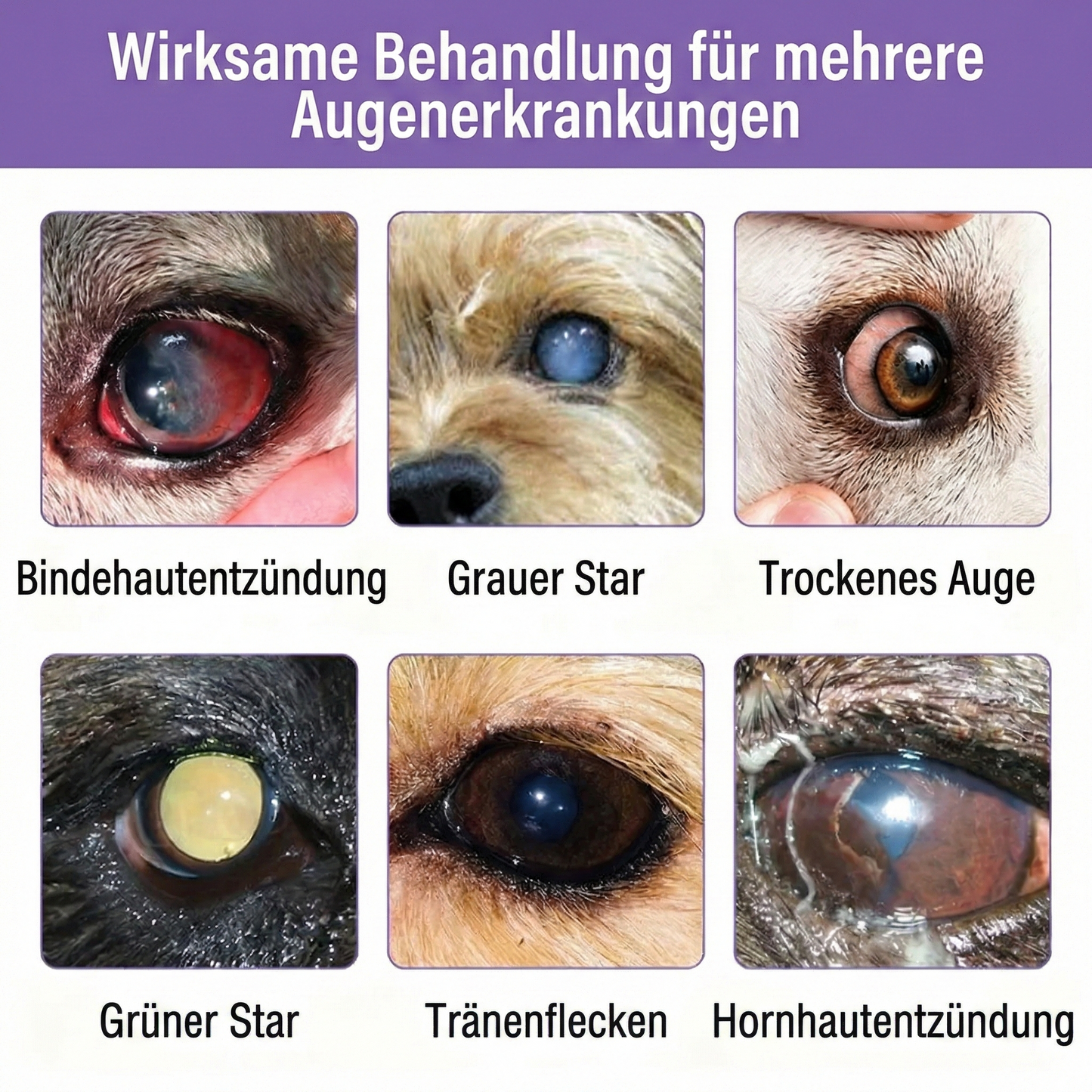ODALIT™ NanoCare Augentropfen für Haustiere