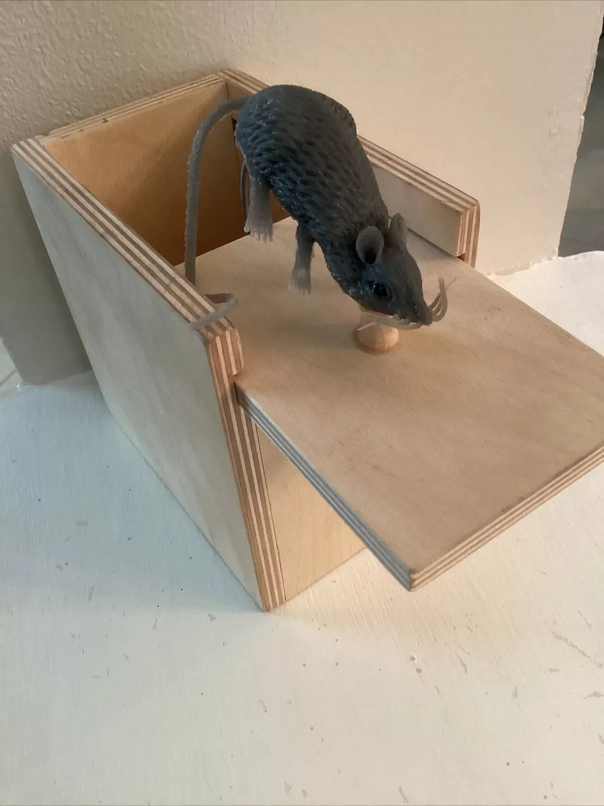 🎁Super Funny Crazy Prank Gift Spider Box